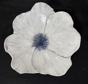 Non Profit Outreach in McKinney, TX