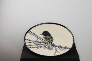 Non Profit Outreach in McKinney, TX